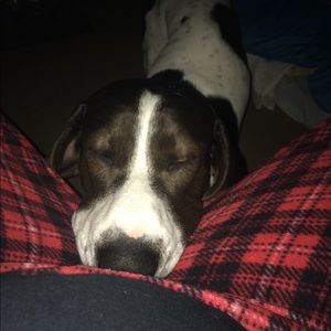 Meet your Posher, Glenn